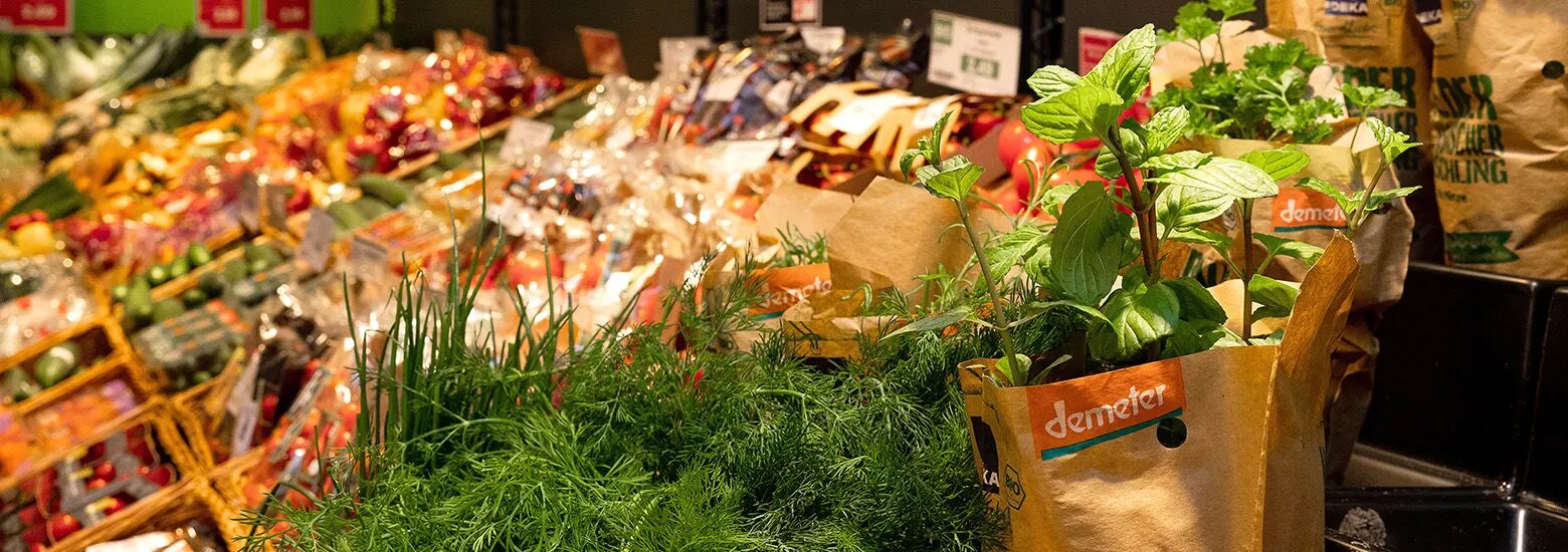 Aktuelle Wochenangebote bei Edeka Ehlers in Fassberg